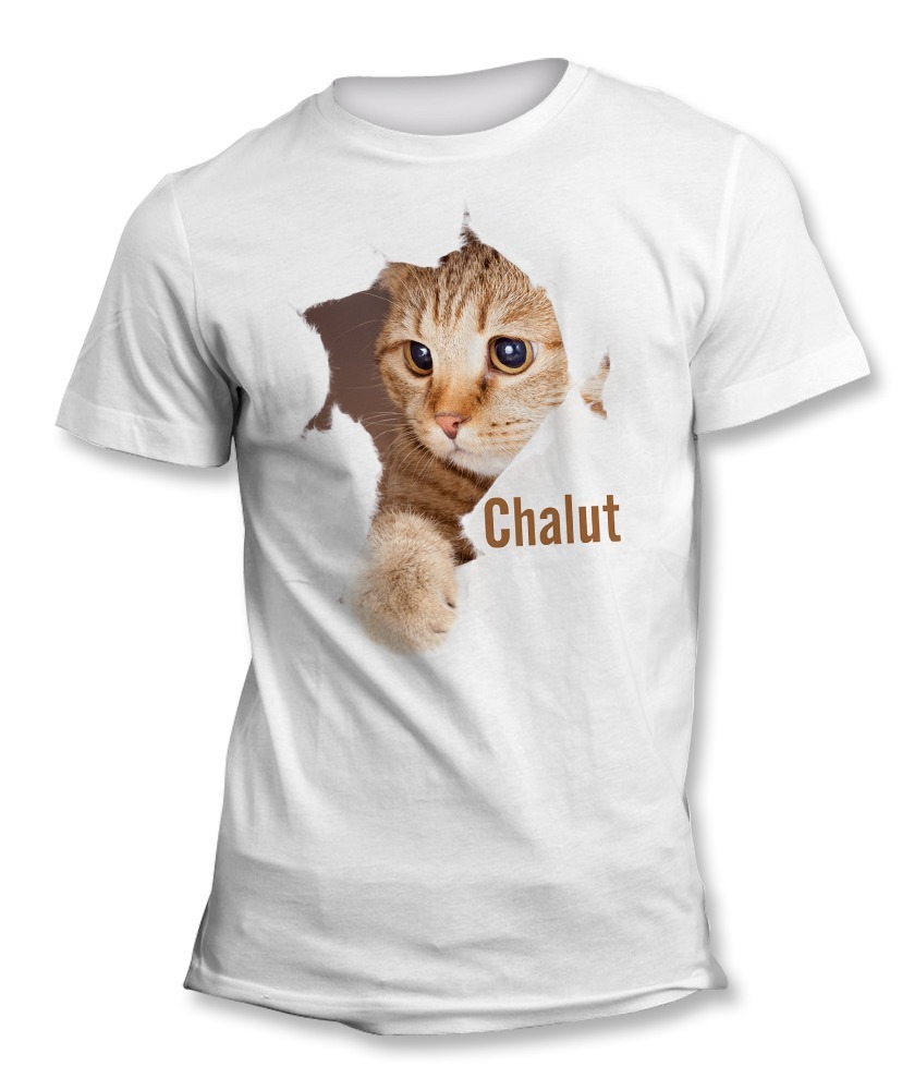 Tee Shirt Motif Chat Tee Shirt Motif Chat