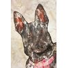 Chien Aquarelle Encre de Chine