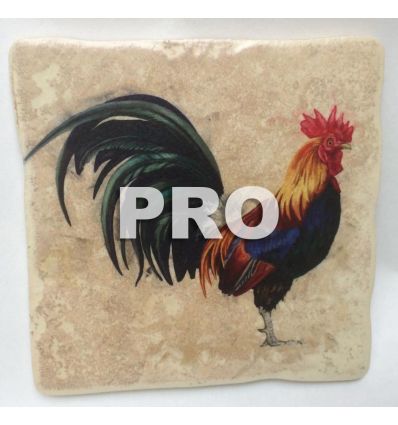 Carrelage Photo 10 x 10 Beige PRO